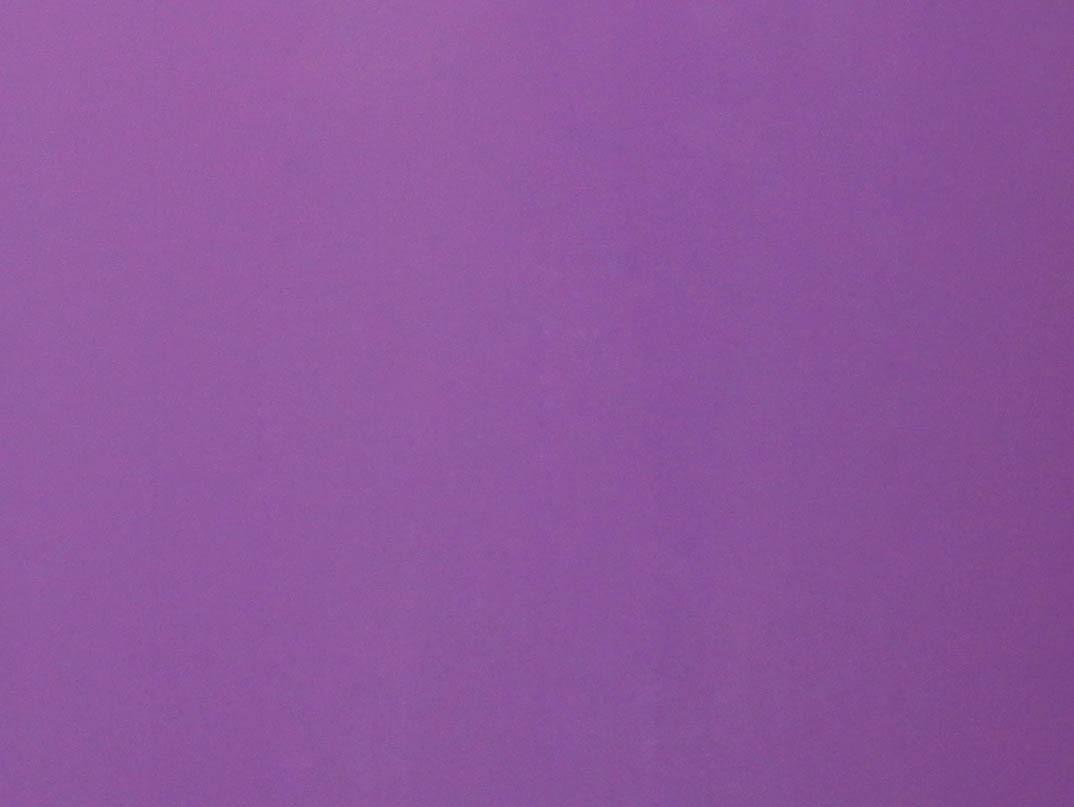 Виолетта MCG 429-6T